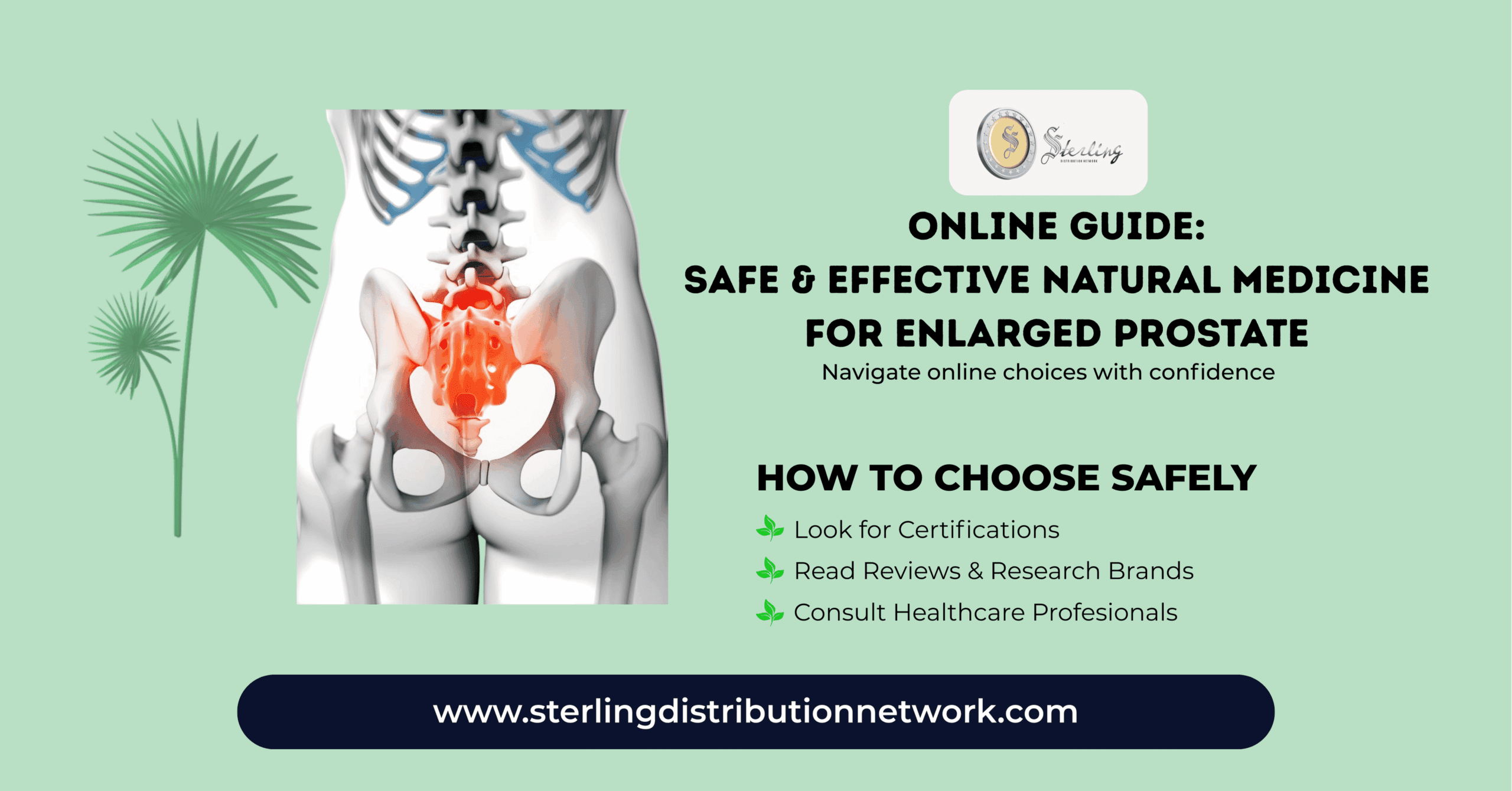 How to Choose Enlarged Prostate Natural Medicine Safely | Online Guide